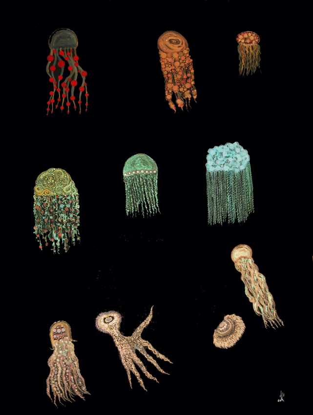 jellyfish poster